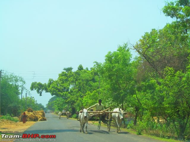 Trip: The historic ruins of Gaur (near Malda)-img_2866-640x480.jpg