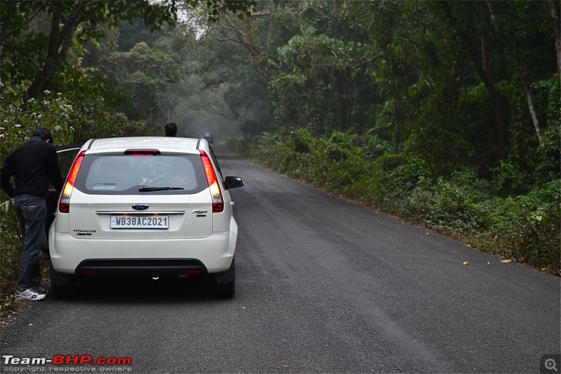 Dooars and Darjeeling from Asansol-dsc_0515.jpg