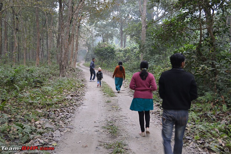 Dooars and Darjeeling from Asansol-dsc_0540.jpg