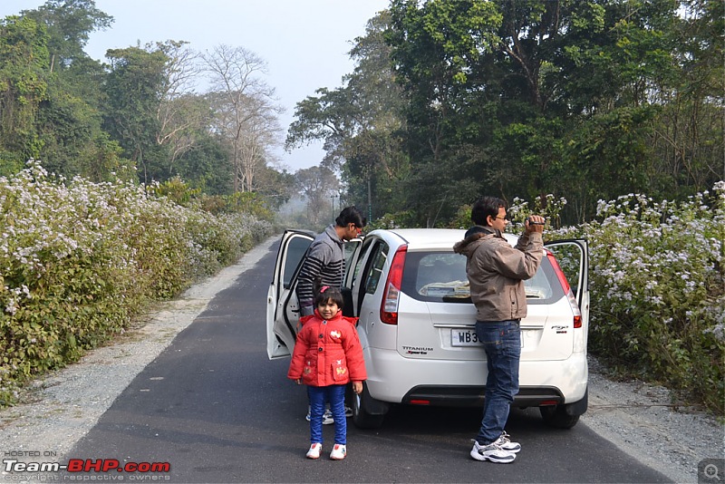 Dooars and Darjeeling from Asansol-dsc_0549.jpg