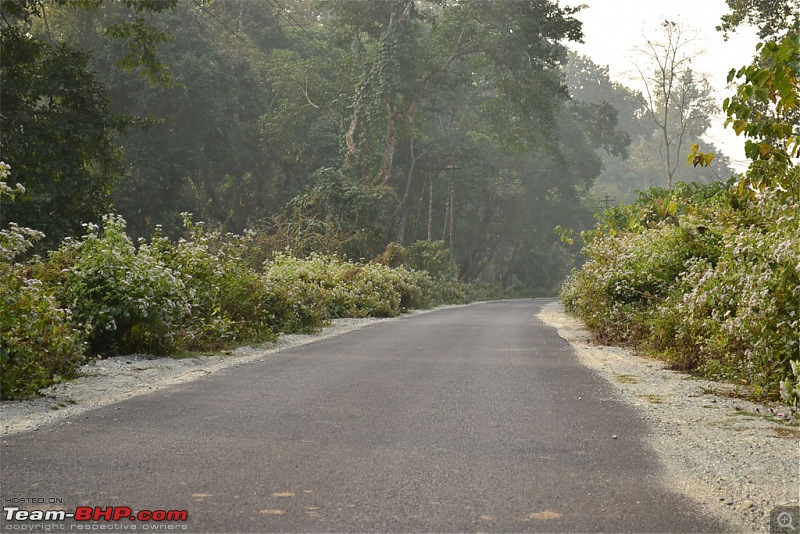 Dooars and Darjeeling from Asansol-dsc_0552.jpg