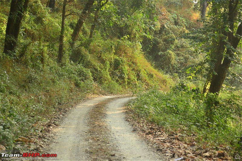 Dooars and Darjeeling from Asansol-dsc_0557.jpg