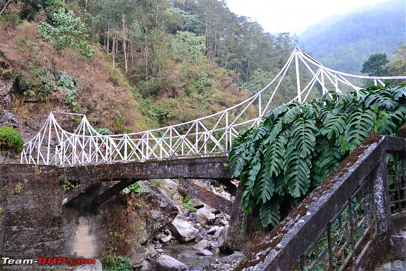 Dooars and Darjeeling from Asansol-dsc_0805.jpg