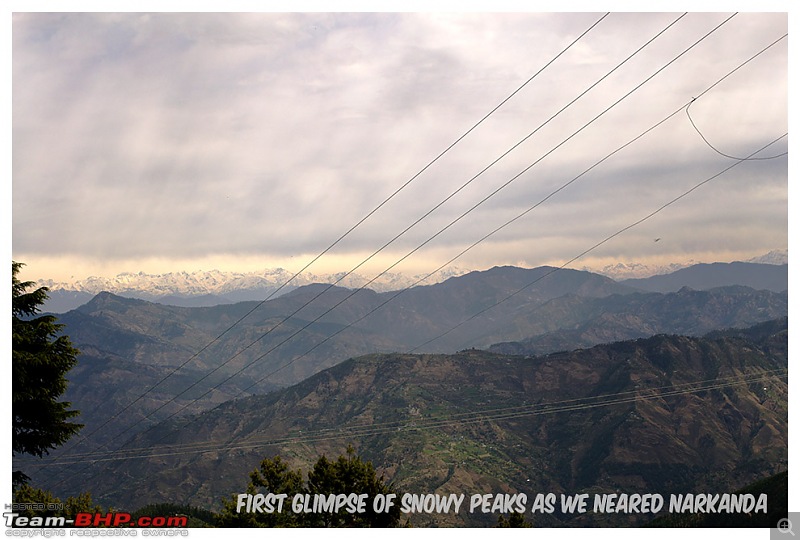 A short trip to Himachal: Chail - Narkanda - Rakcham - Sarahan-6.jpg