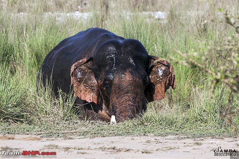 Corbett Tiger Reserve & Agra: Two consecutive weekends from Delhi!-img_2203.jpg