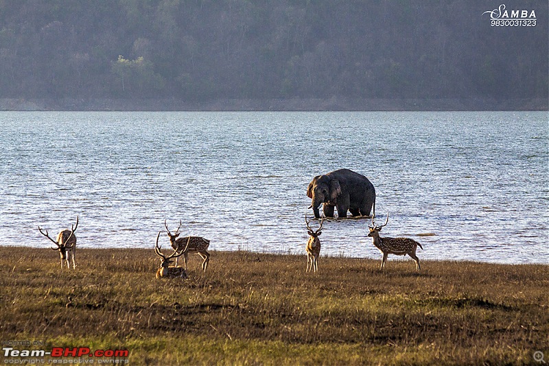 Corbett Tiger Reserve & Agra: Two consecutive weekends from Delhi!-img_2294.jpg