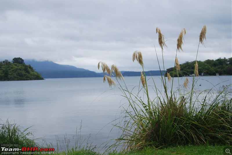 Driving through Heavenly New Zealand!-dsc_0314.jpg