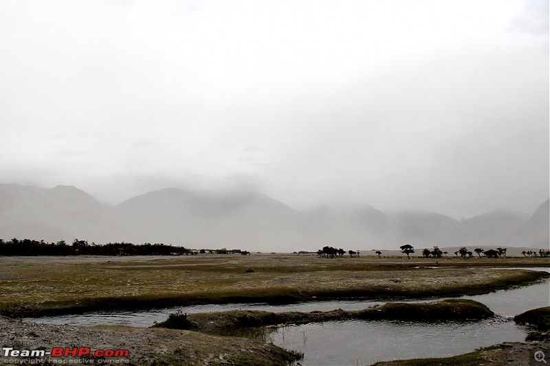 Bangalore to Ladakh - A drive as great as the destination-sand-dune-hunder-1.jpg