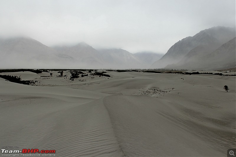 Bangalore to Ladakh - A drive as great as the destination-sand-dune-hunder-2.jpg