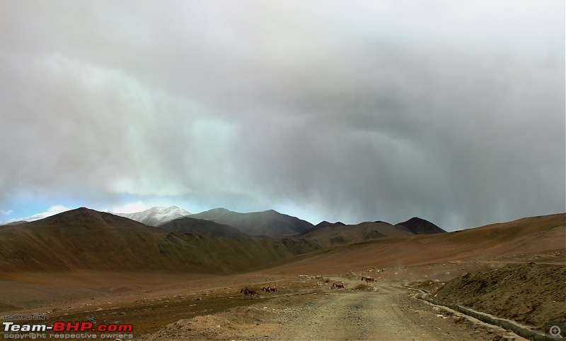 Bangalore to Ladakh - A drive as great as the destination-kiang-way-marsimek-la.jpg