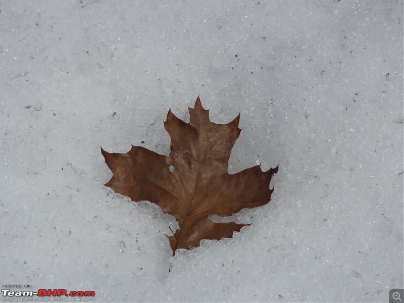 Experiencing 'Polar Vortex' - Freezing cold USA, Feb 2014-dsc02503-1024x768.jpg