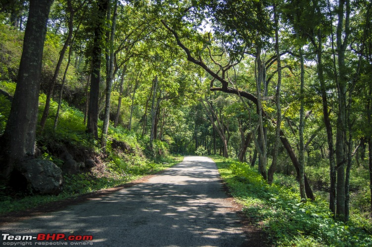 To Biligiri Ranganna Hills & K Gudi in a Toyota Camry-dsc_7924_copy.jpg