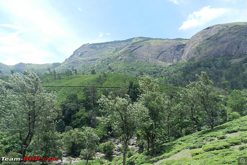 Weekend Destination - Munnar-dscn7901.jpg