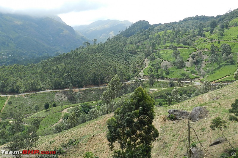 Weekend Destination - Munnar-dscn7933.jpg