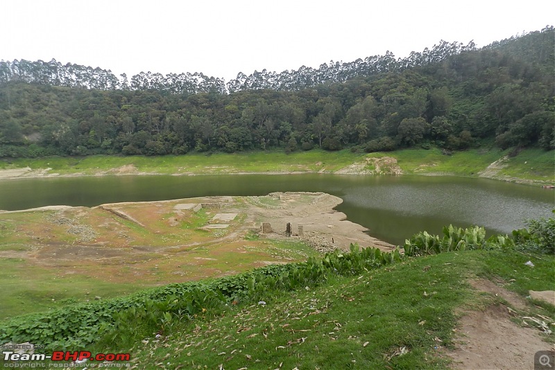 Weekend Destination - Munnar-dscn7983.jpg