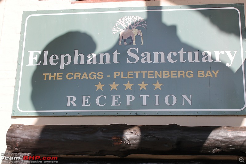 Splendid South Africa-elephant-santuary-1.jpg