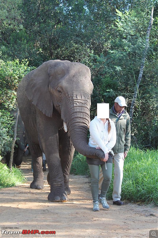 Splendid South Africa-elephant-santuary-4.jpg