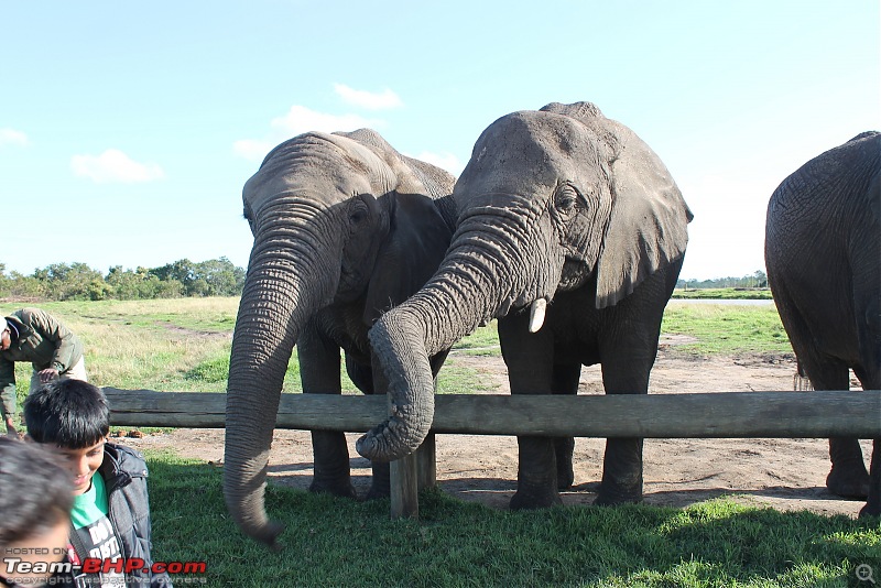 Splendid South Africa-elephant-santuary-6.jpg