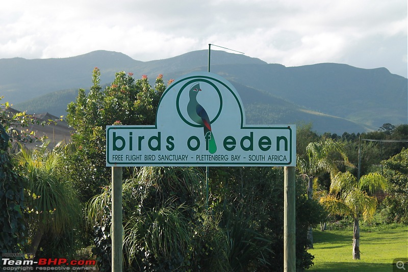 Splendid South Africa-birds-eden-1.jpg