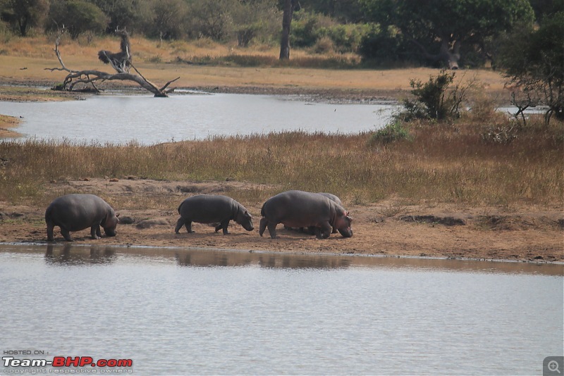 Splendid South Africa-kruger-lake-2.jpg