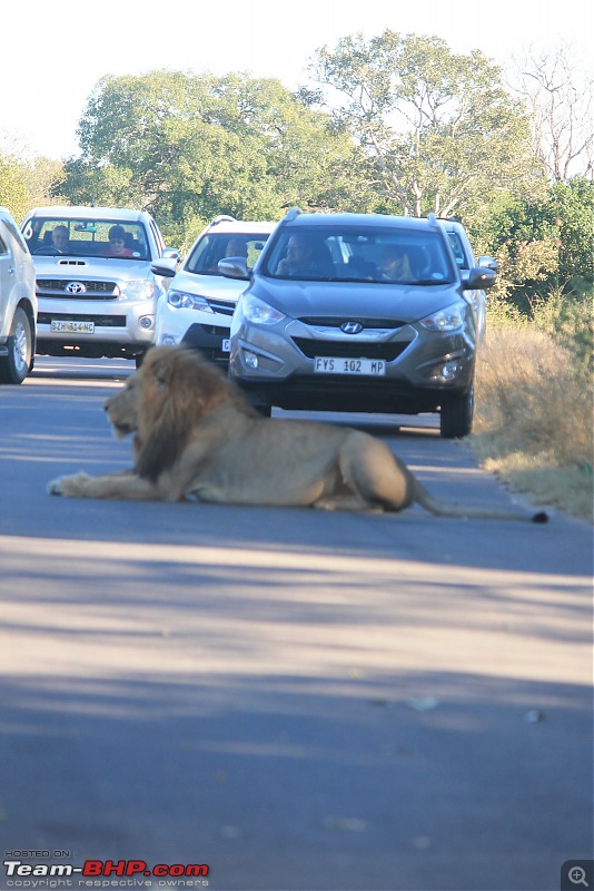 Splendid South Africa-kruger-lions-road-2.jpg