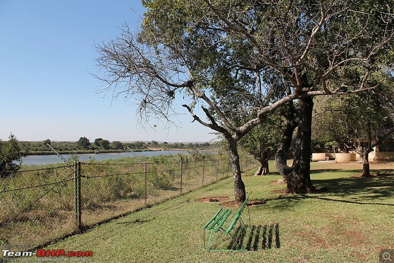 Splendid South Africa-kruger-fence.jpg