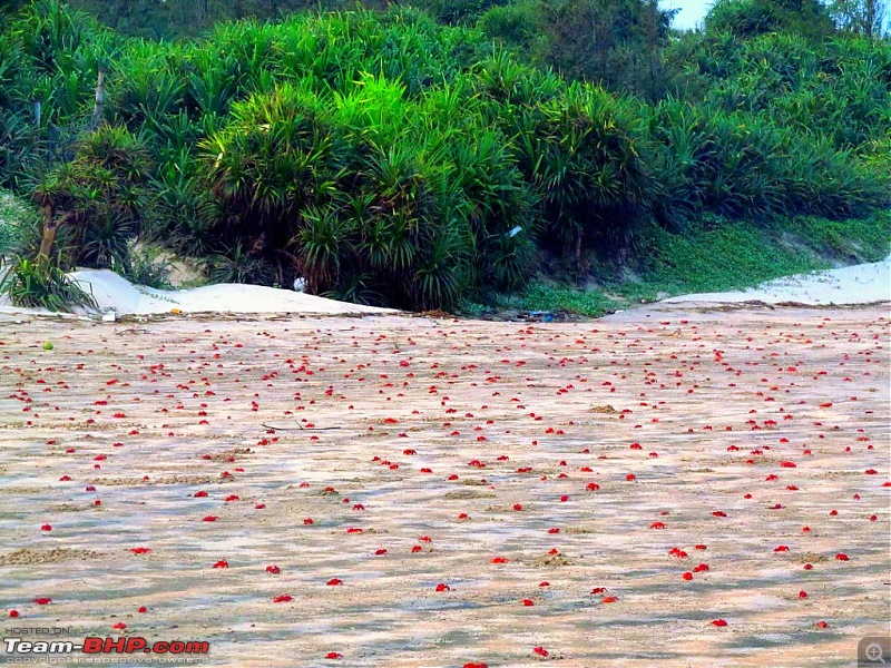 Weekend Getaway: Exotic Tajpur and Mandarmoni-img_2933-1024x768.jpg