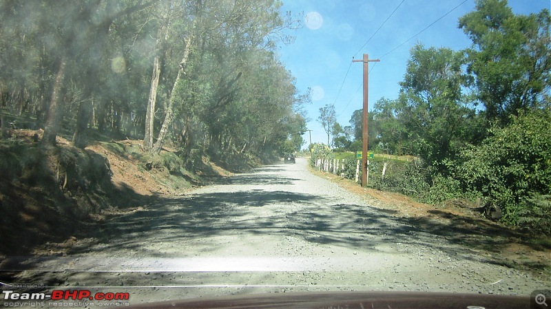 Exploring Ooty, again-img_0791.jpg