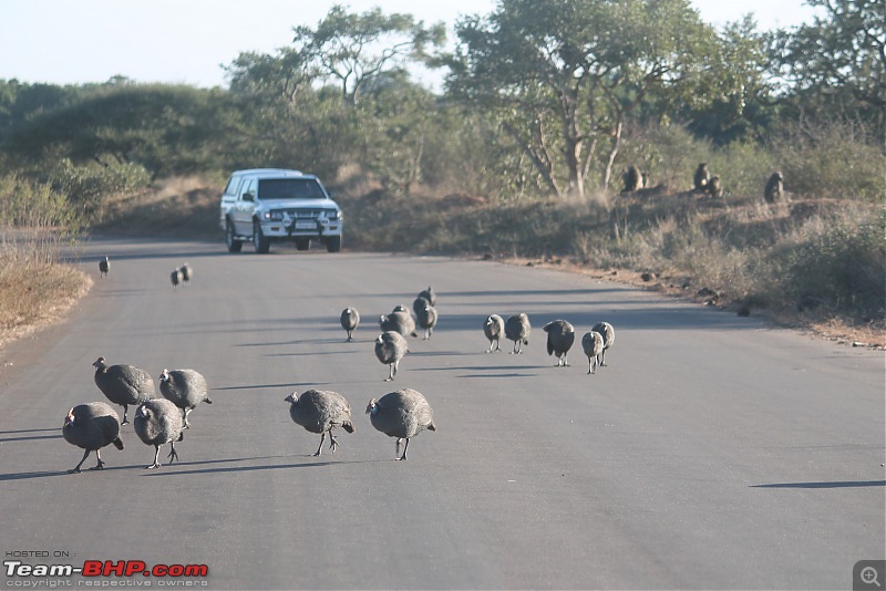 Splendid South Africa-p-338.jpg