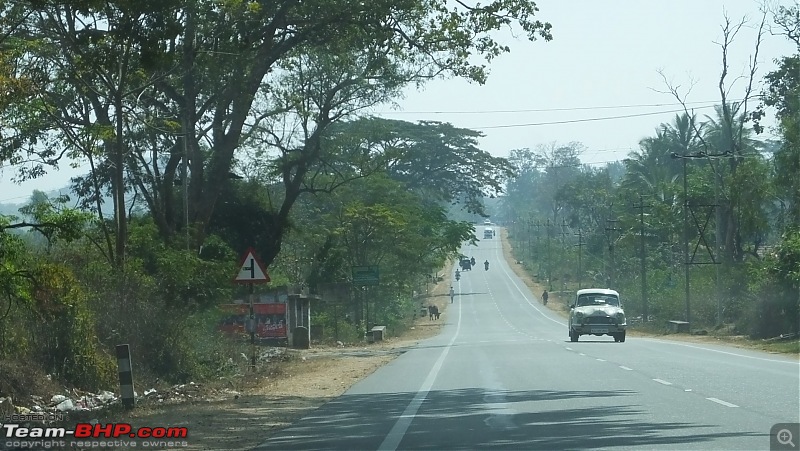 Exploring Karnataka: Mangalore, Moodabidri, Sringeri, Coorg, Mysore...-dscf3323.jpg