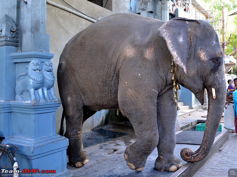 A blissful 4 days at Pondicherry-dsc_0228.jpg