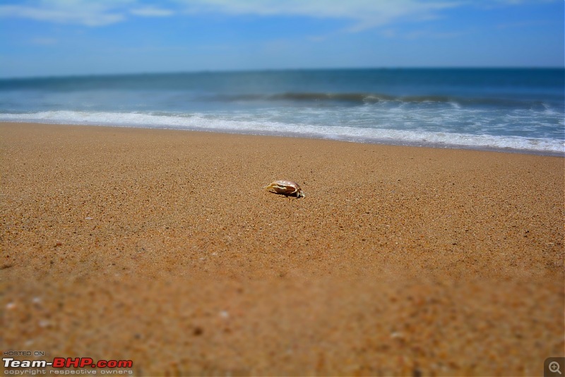 A blissful 4 days at Pondicherry-dsc_0336.jpg