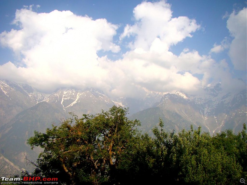 Sojourn to the last Indian village : Chitkul-dsc04570-copy.jpg