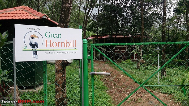 Experience at Great Hornbill Resorts, Nilambur (Kerala)-1.jpg