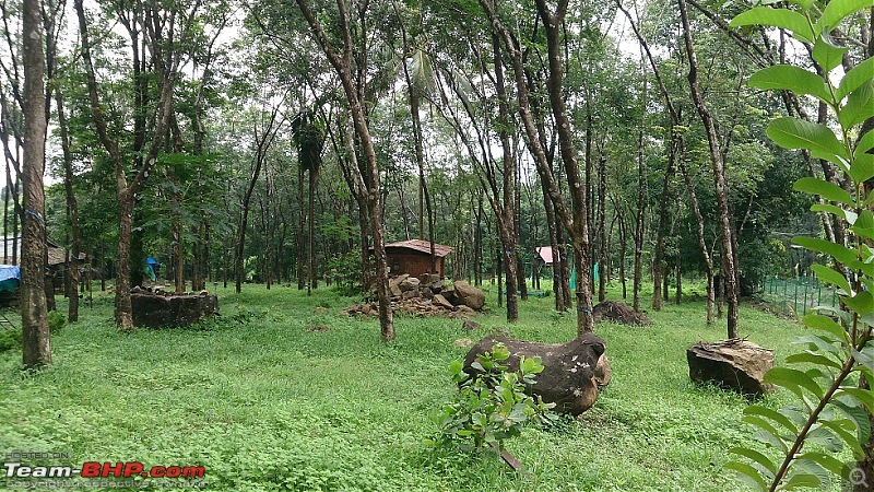 Experience at Great Hornbill Resorts, Nilambur (Kerala)-6.jpg