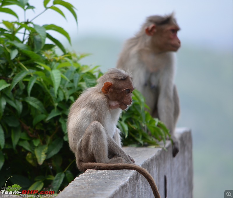 Fresh air isn't too far: Devarayanadurga, a Photologue-dsc_0088.jpg