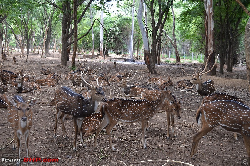 Fresh air isn't too far: Devarayanadurga, a Photologue-dsc_0211.jpg