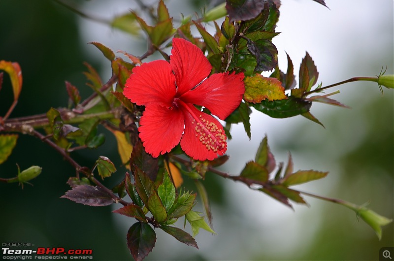 Fresh air isn't too far: Devarayanadurga, a Photologue-dsc_0039.jpg