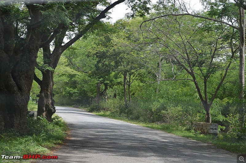 Fresh air isn't too far: Devarayanadurga, a Photologue-dsc_0262.jpg