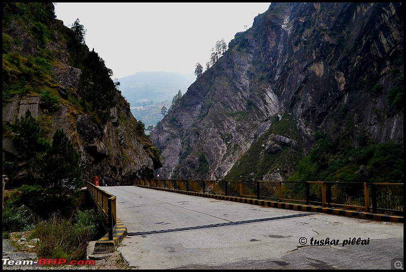 1700 to 11000 ft! A drive to Devbhoomi-dsc_0125.jpg