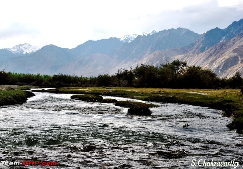 Julley to the Land of High Passes - Ladakh!-414.jpg