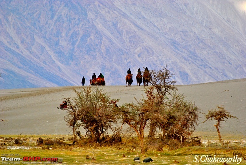 Julley to the Land of High Passes - Ladakh!-415.jpg