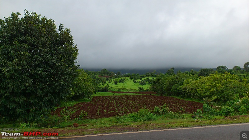 Goa in the monsoon  A dream drive!-dsc_0022.jpg