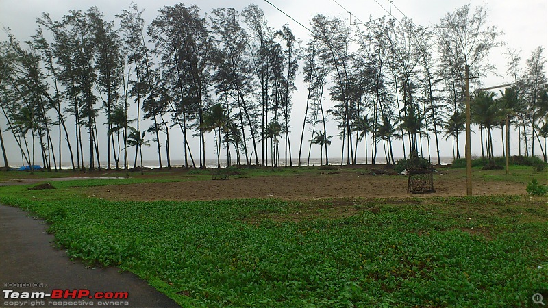 Goa in the monsoon  A dream drive!-dsc_0282.jpg