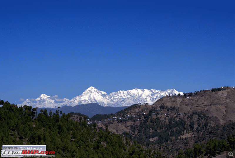 Binsar, the Mighty Himalayas & Life-dsc05617.gif