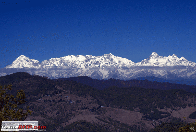 Binsar, the Mighty Himalayas & Life-dsc05629.gif