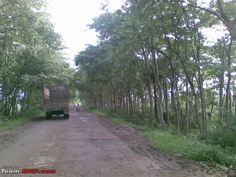 Ramgarh- A Travelogue Overdue-treelined2.jpg