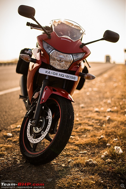 South India West-Coast Ride. And some more...-20131222dsc_1309.jpg