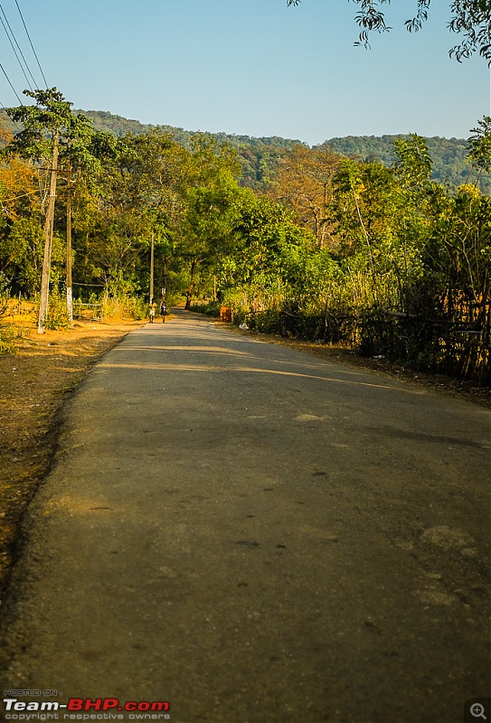 South India West-Coast Ride. And some more...-20131222dscf3834.jpg