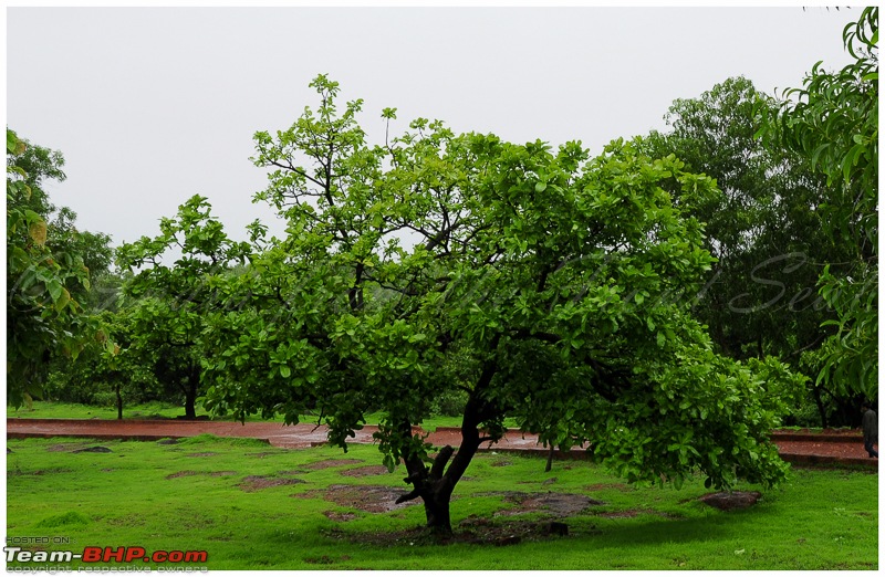 Civved : Goa, Yaana, Jog, Murdeshwar, Maravanthe, Mangalore...-dsc_0458edit.jpg